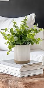 2 Pack Small Fake Plants Eucalyptus Potted Artificial Plants for Shelf Desk Home Bathroom Farmhouse Room Coffee Table Decor (Sage Green)